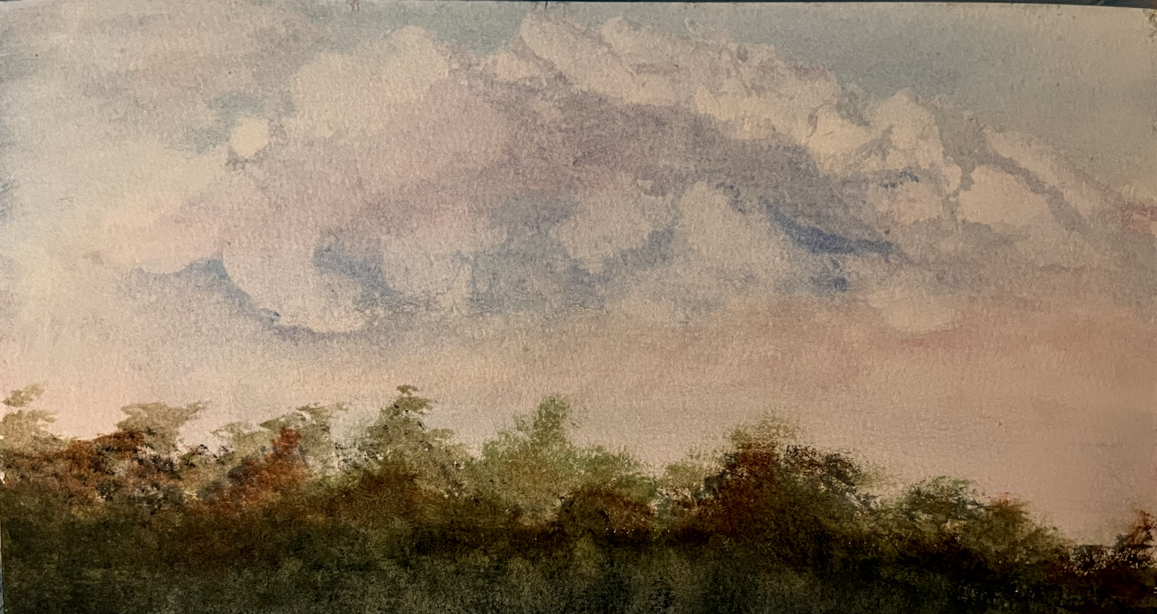 Winter Tree Line