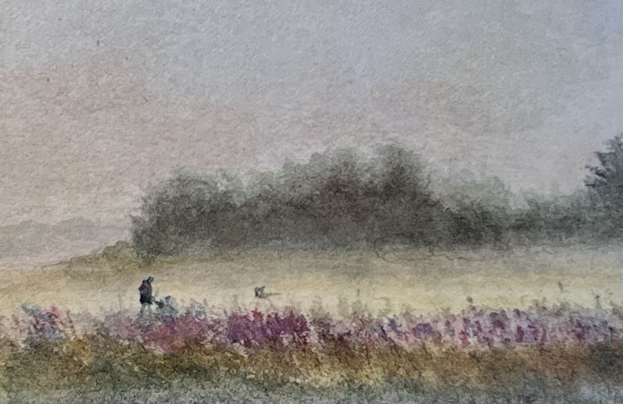 Close Up: Iken Marsh, Evening Light